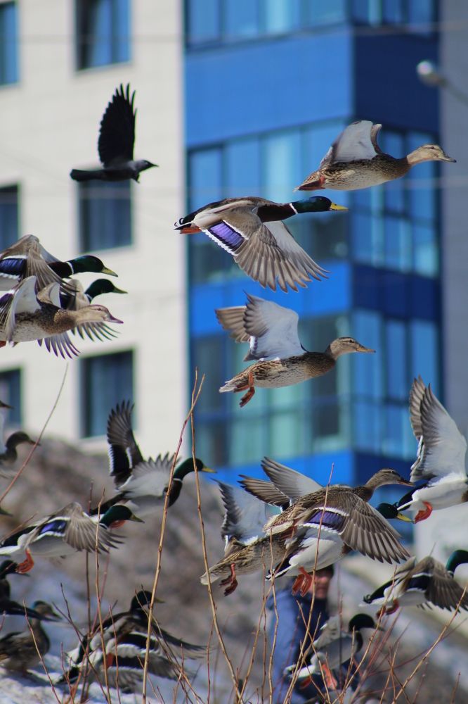 Photograph by Анна