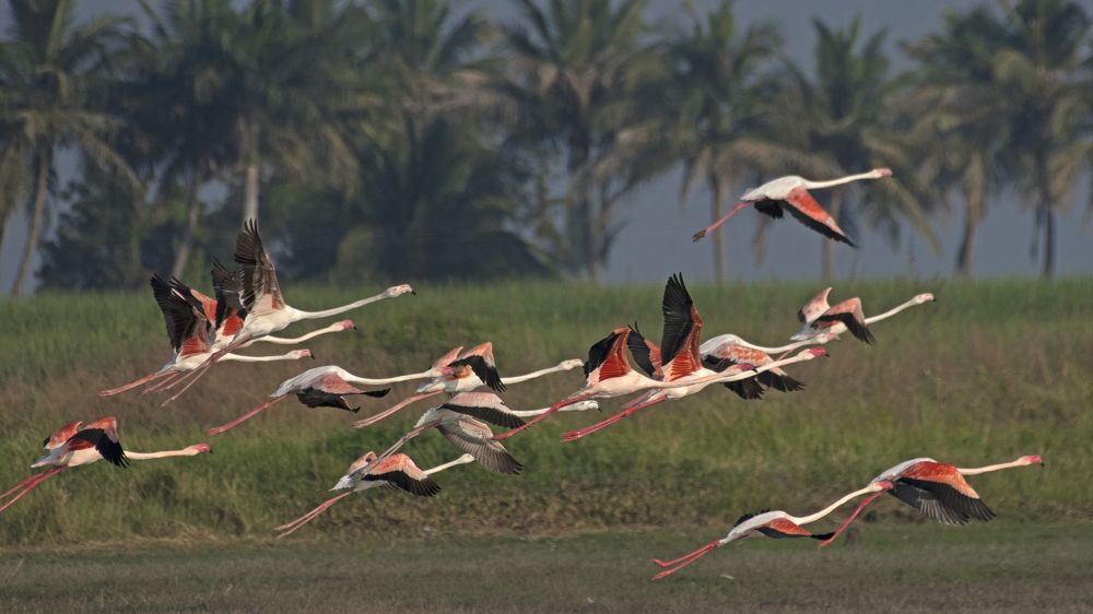 Photograph by Angshuman Mitra