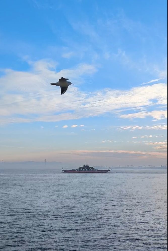 Photograph by Татьяна Яцкевич