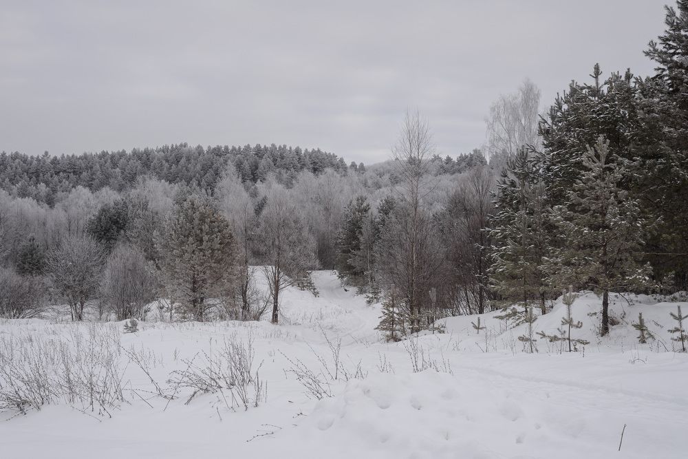 Photograph by Олег Титкин