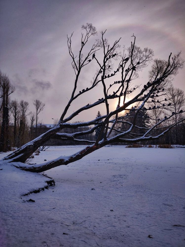 Photograph by Наталья Гущина