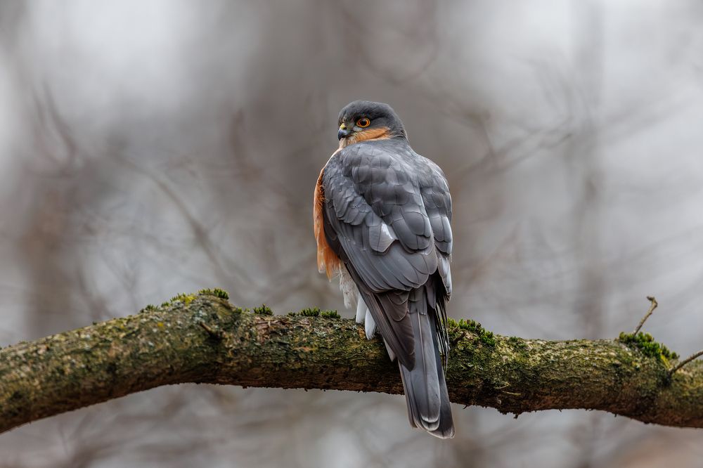 Photograph by Антон Науменко