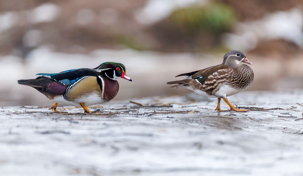 Photograph by Антон Науменко