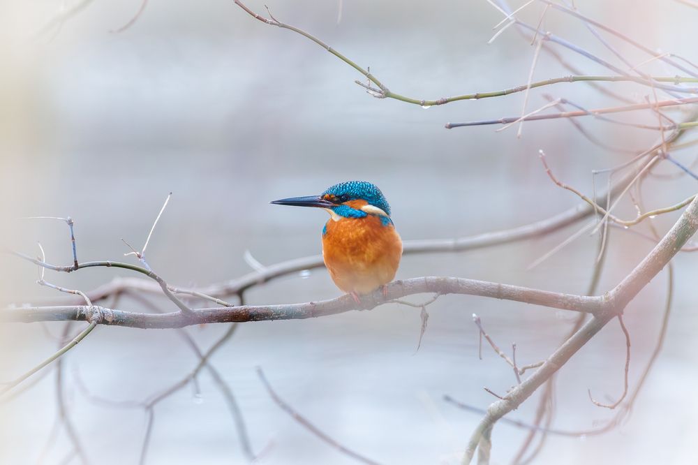 Photograph by Антон Науменко