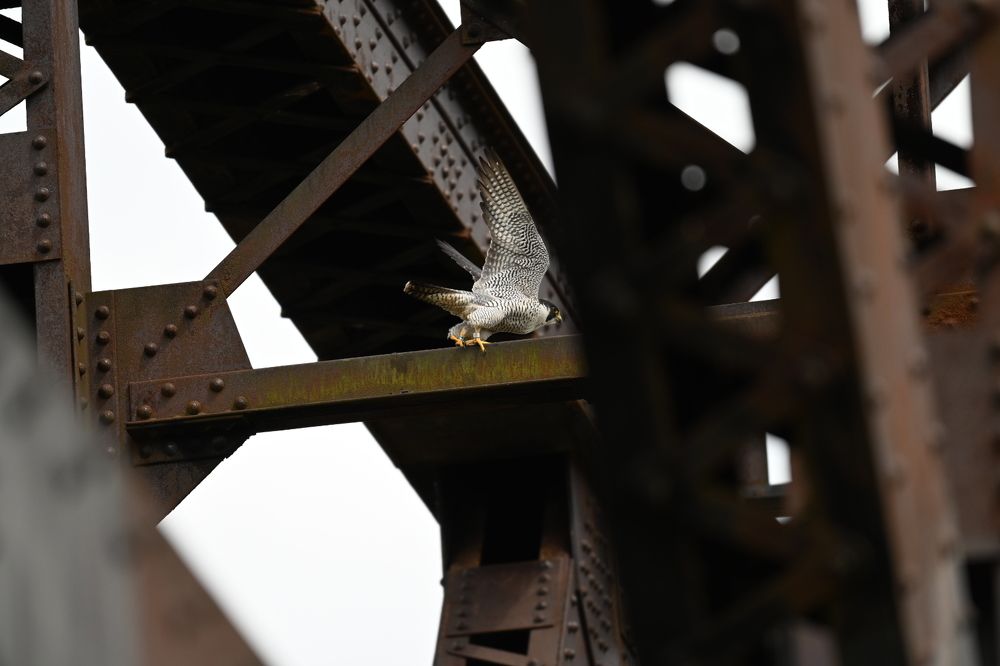 Photograph by Tyler Dewees