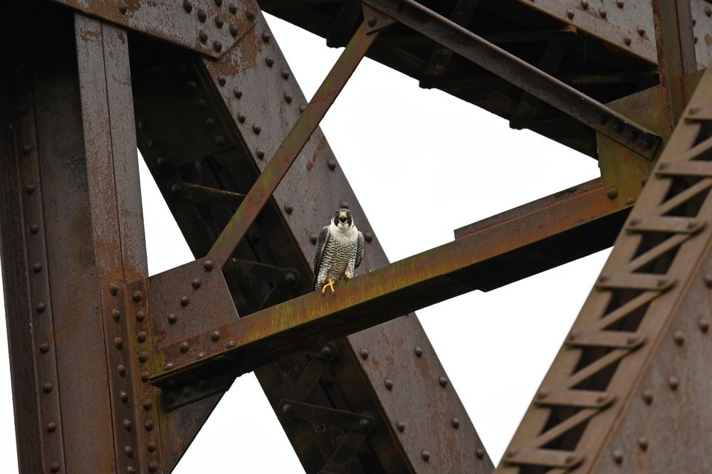 Photograph by Tyler Dewees