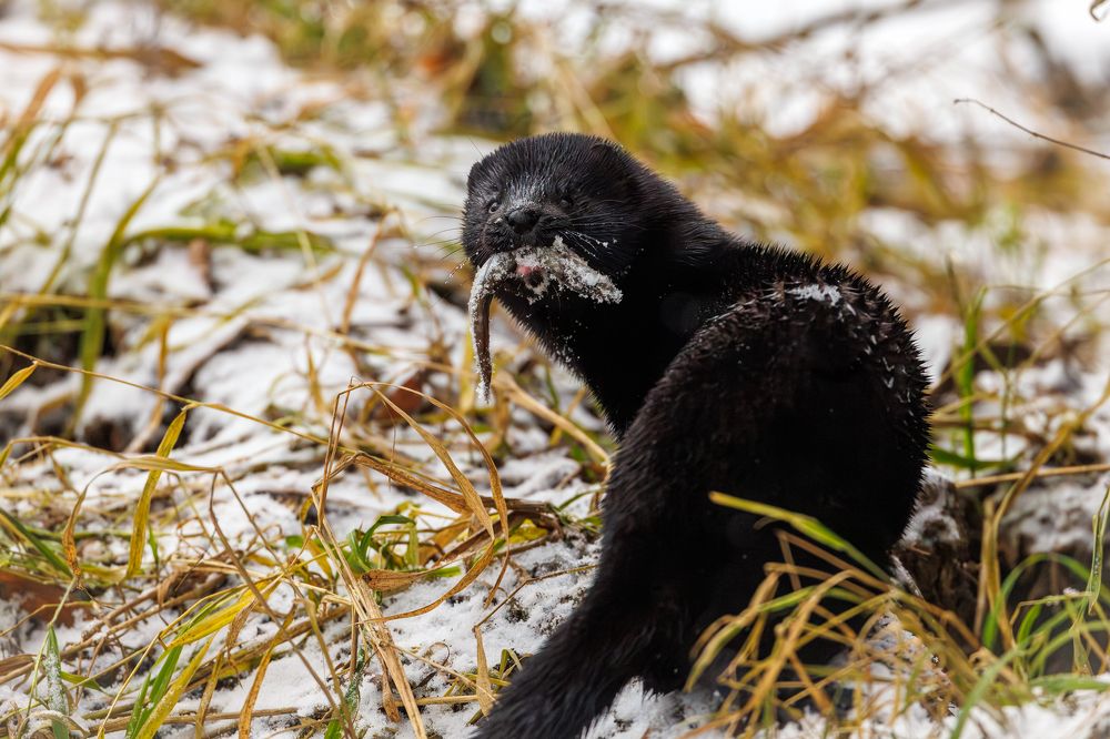 Photograph by Антон Науменко