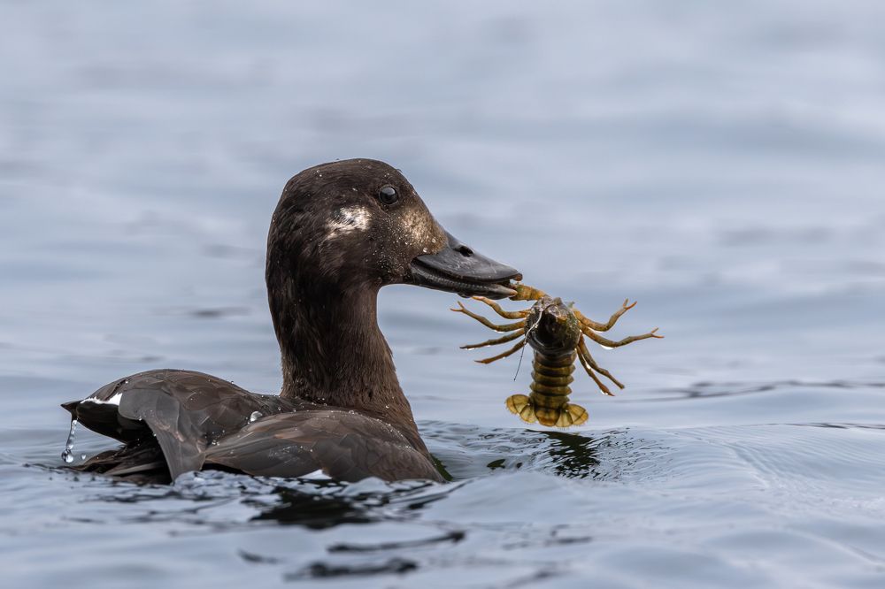 Photograph by Антон Науменко