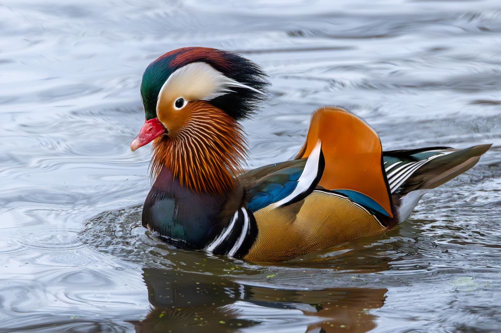 Photograph by Антон Науменко