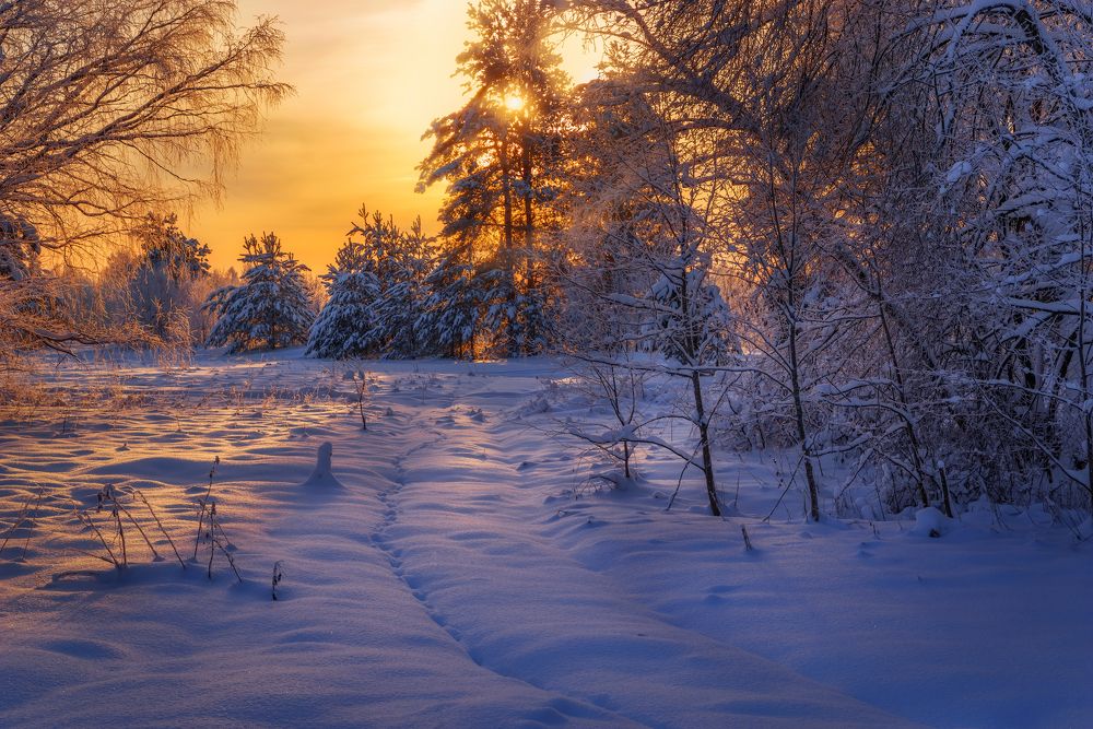 Photograph by Марина Мурашова