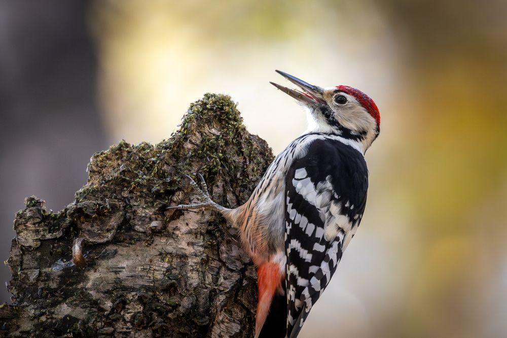 Photograph by Антон Науменко