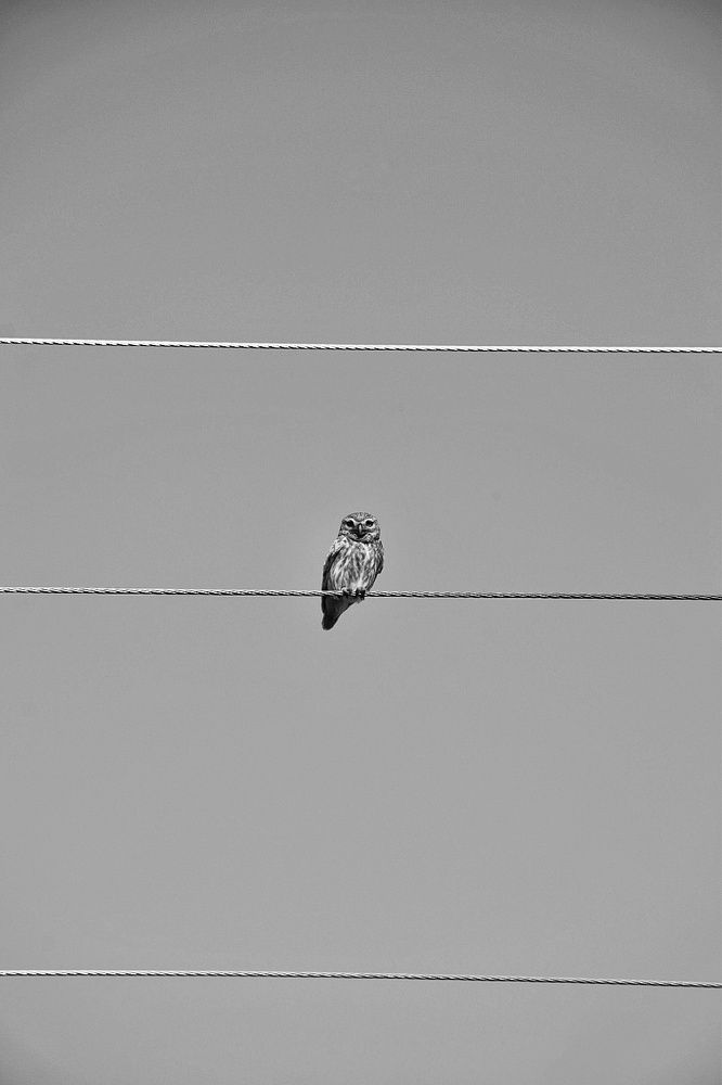 Photograph by Ehsan Fathi