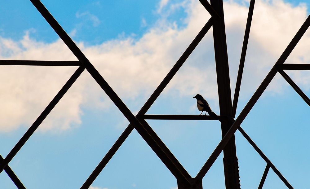 Photograph by Ehsan Fathi