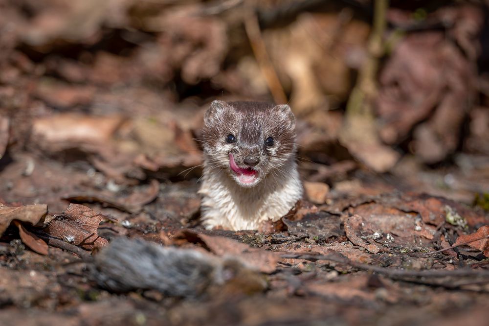 Photograph by Антон Науменко