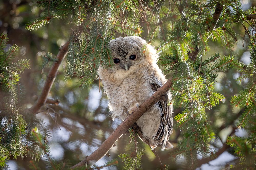 Photograph by Антон Науменко