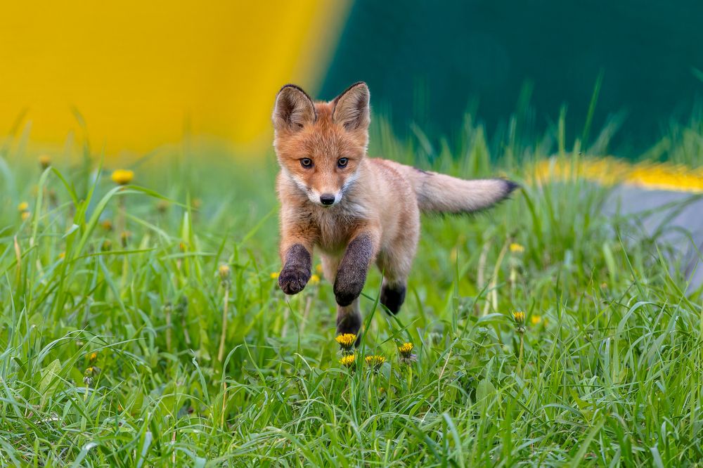 Photograph by Антон Науменко