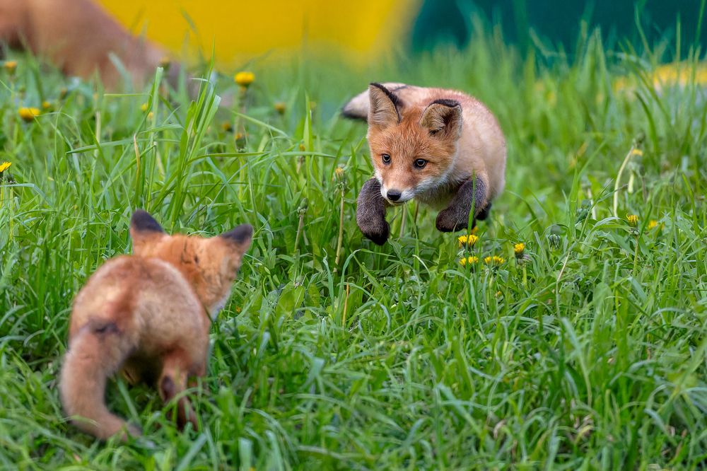 Photograph by Антон Науменко