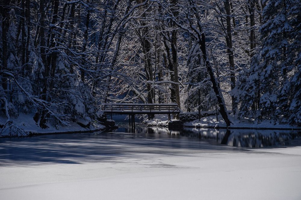 Photograph by Radojko Boskovic