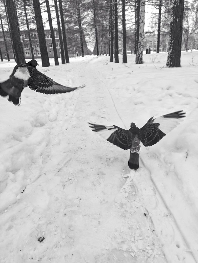 Photograph by Наталья Гущина