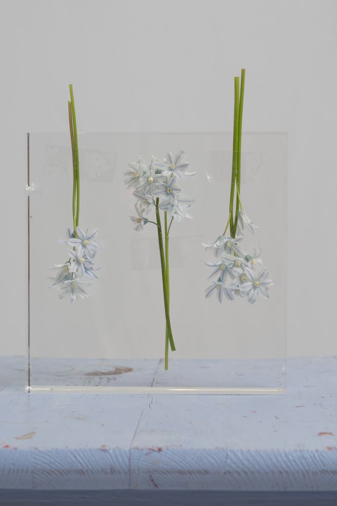 Фотография автора Могилевцева Дарья