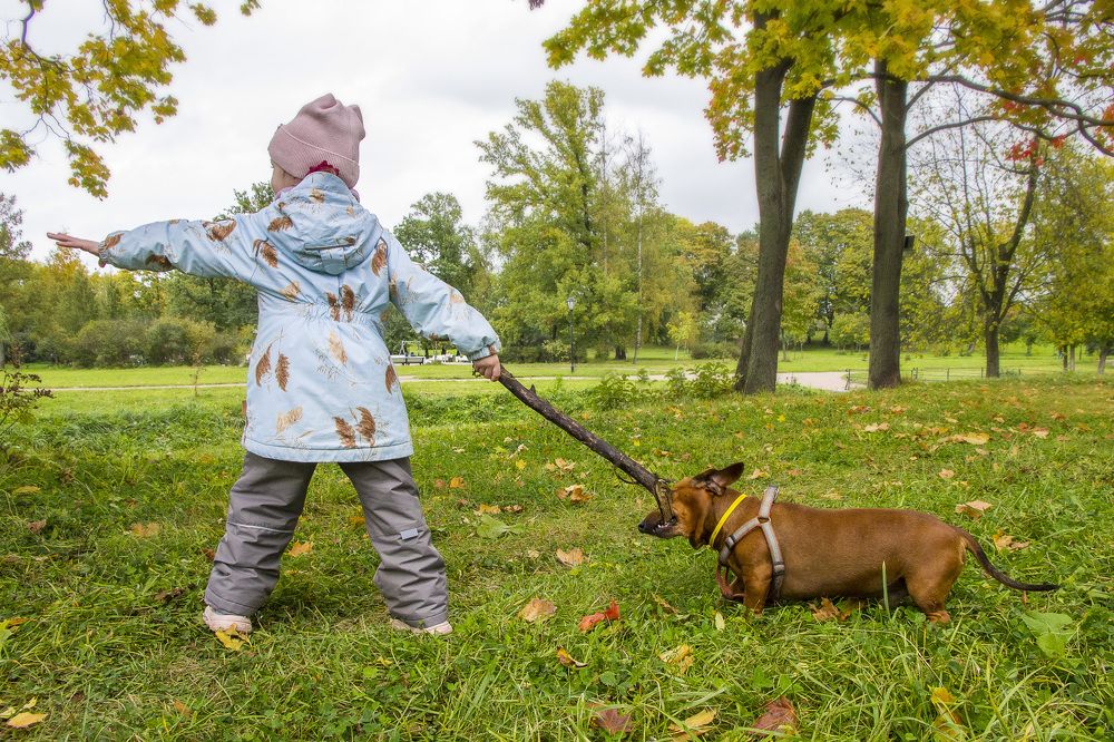 Photograph by Алена Морозова
