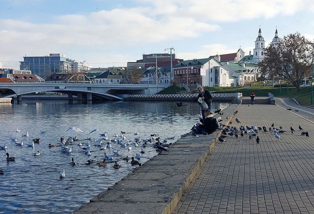 Photograph by Шкарупа Тамара