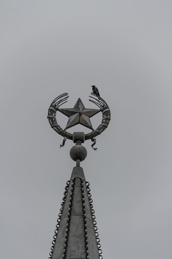 Photograph by Дмитрий Матвеев