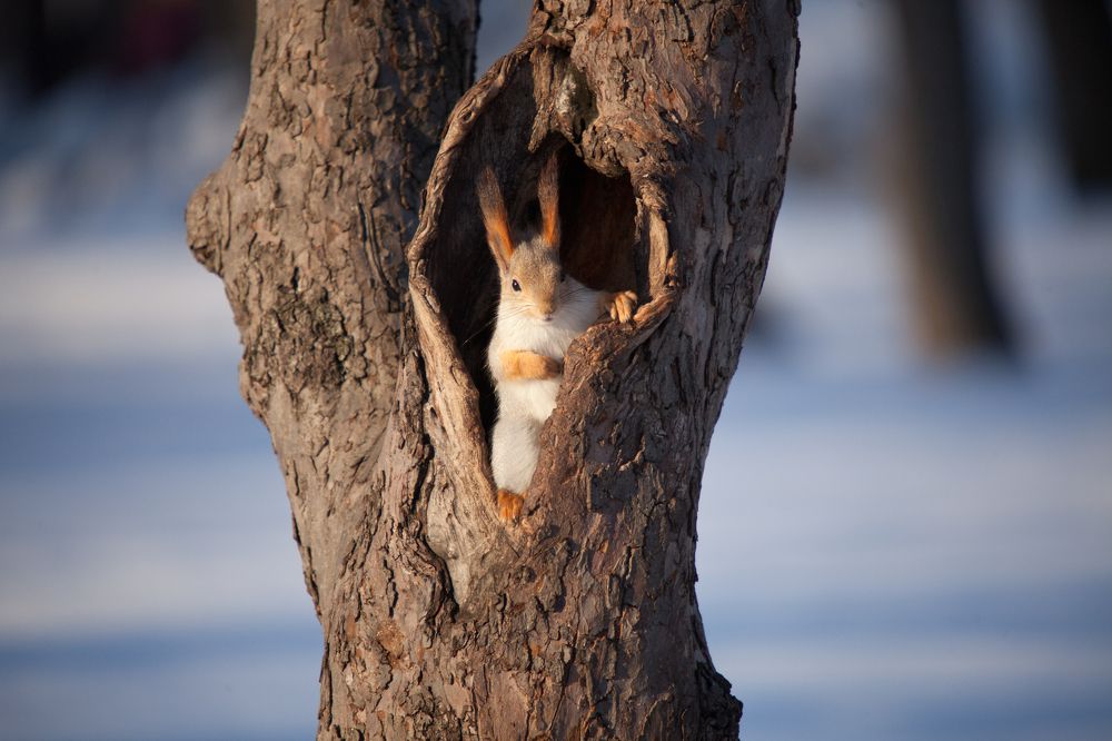 Photograph by Павел Швецов