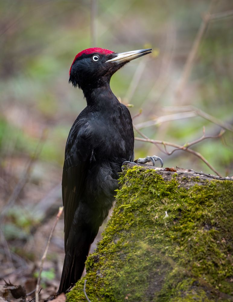 Photograph by Антон Науменко