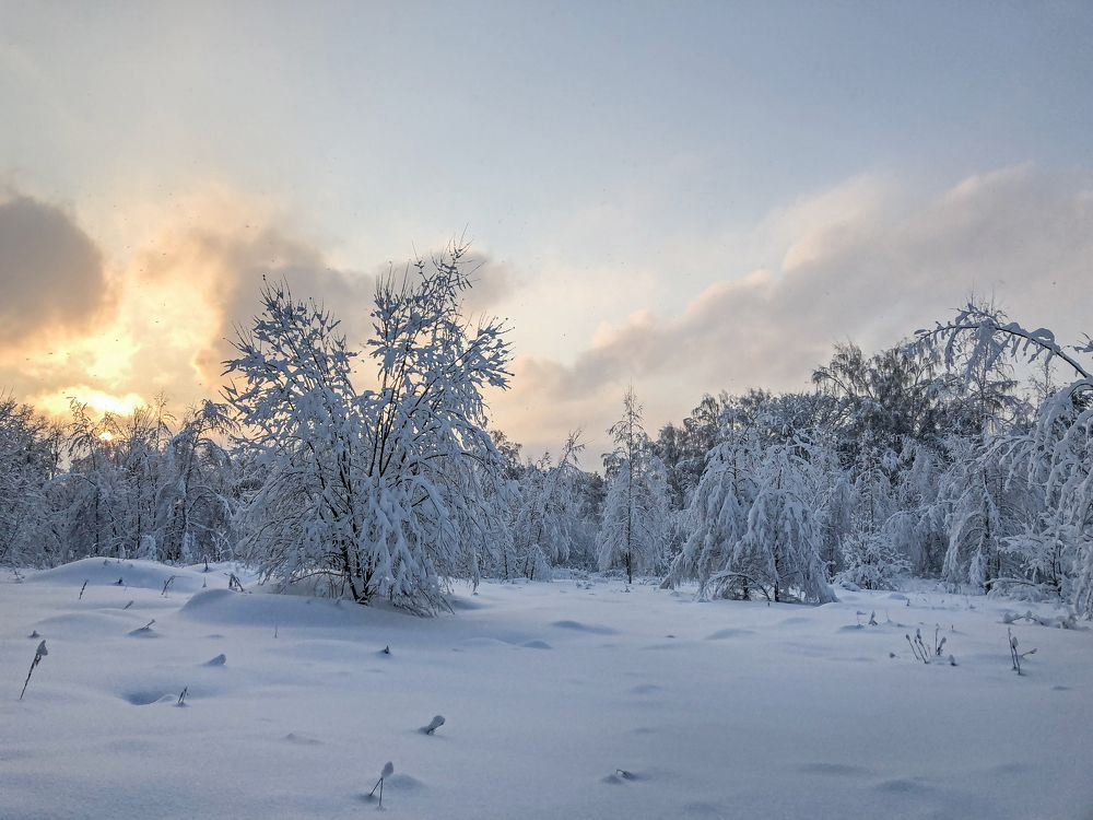 Фотография автора Оксана Сырчина