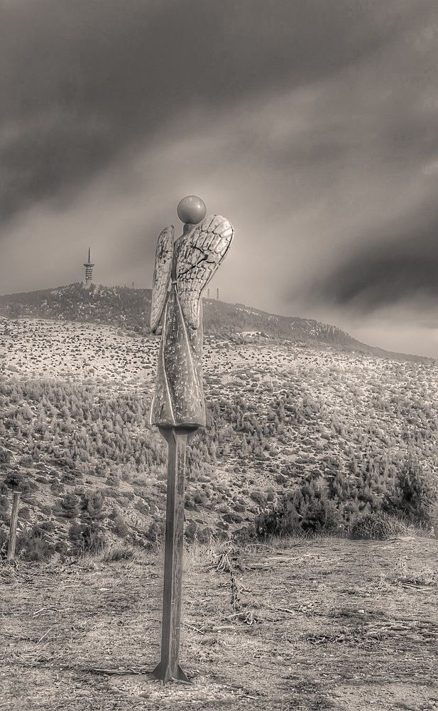 Фотография автора Ольга Лянная