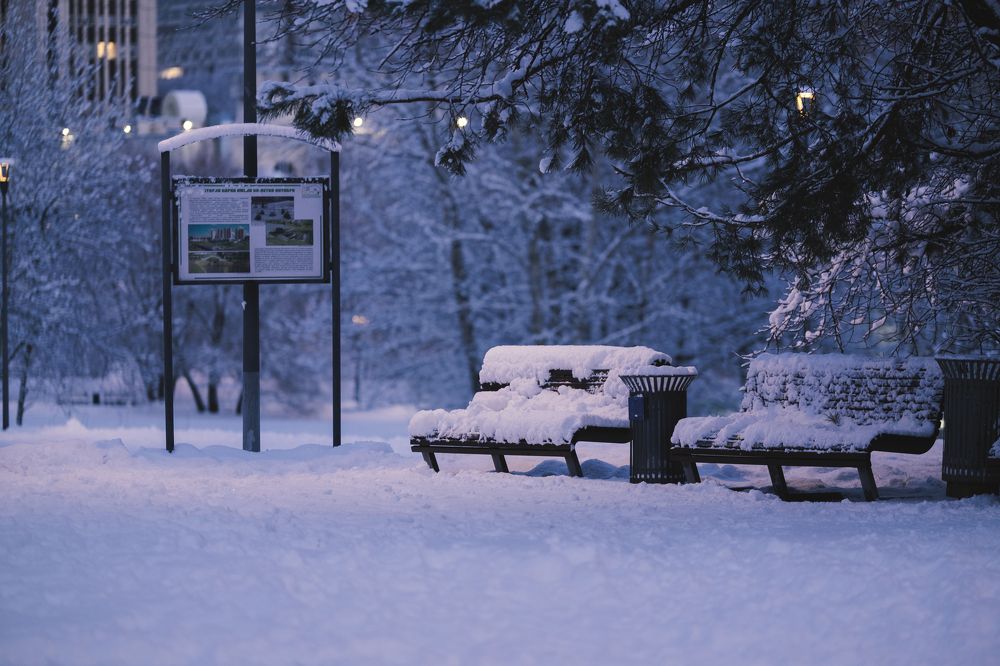 Photograph by Елена Барышева