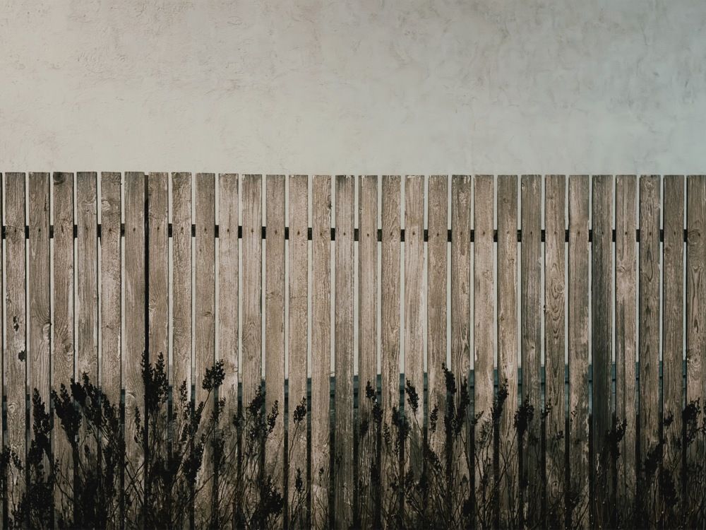 Photograph by Sergei Novikov