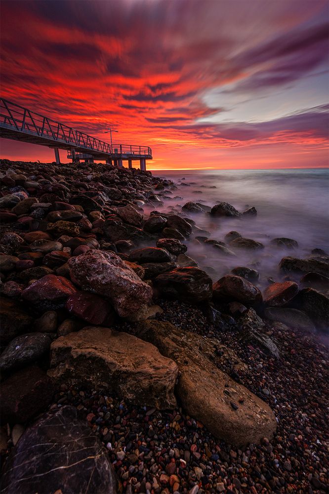 Photograph by Joan Bru Sales