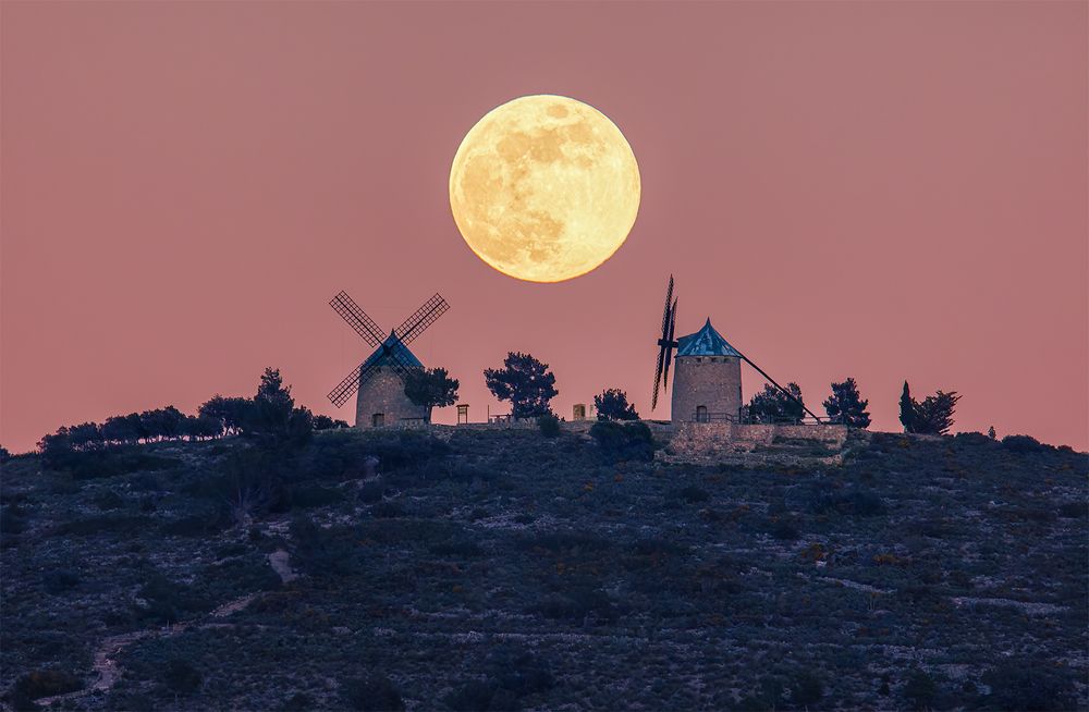 Photograph by Joan Bru Sales