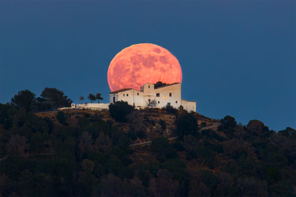 Photograph by Joan Bru Sales