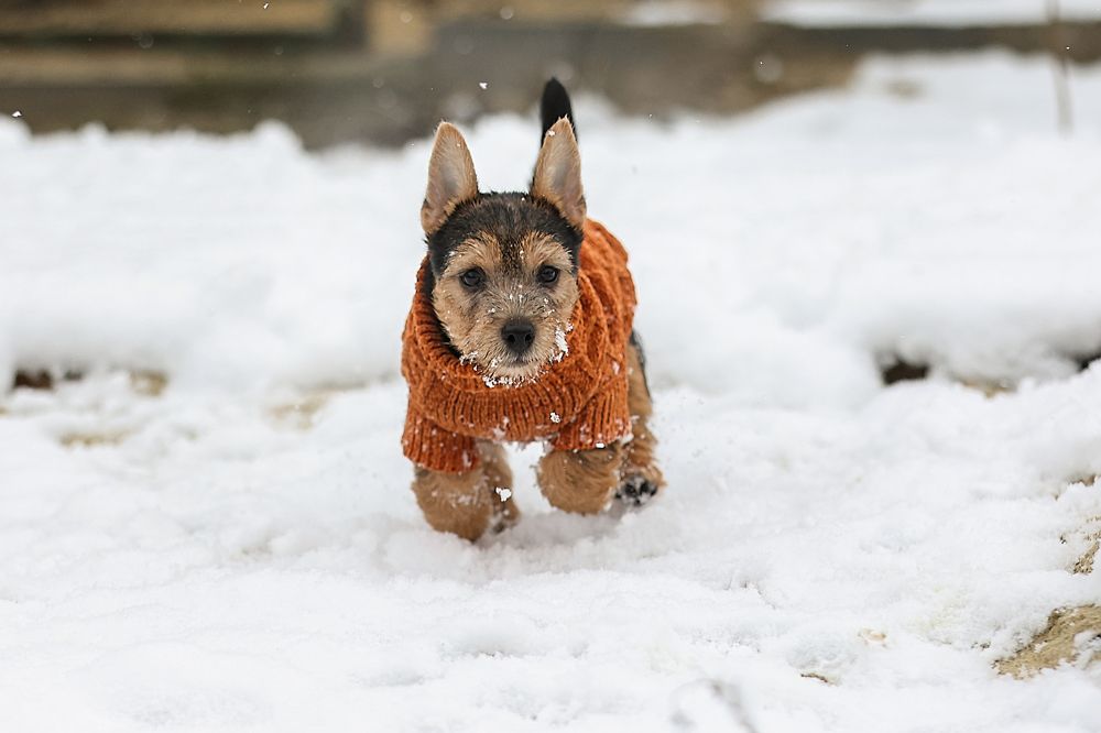 Фотография автора Анна