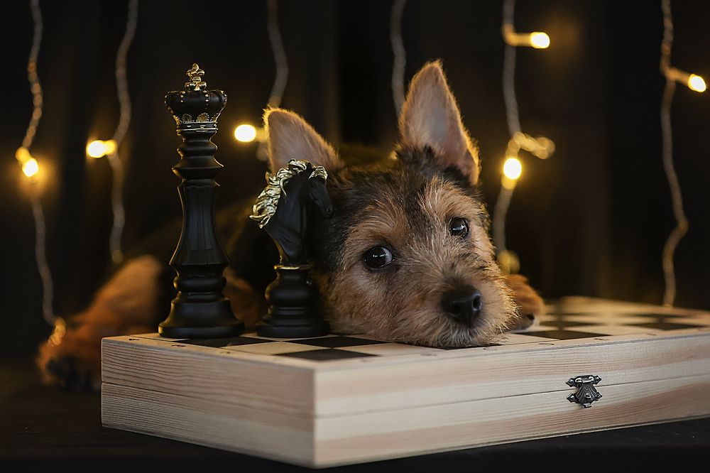 Фотография автора Анна