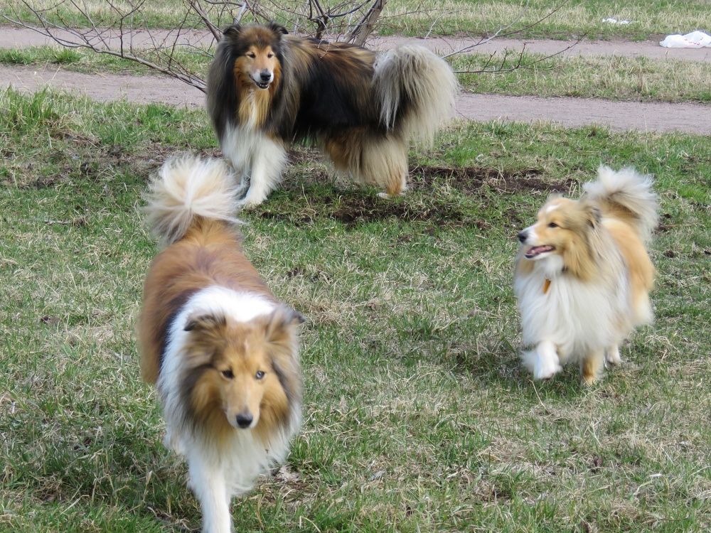 Photograph by Валерия Яскович