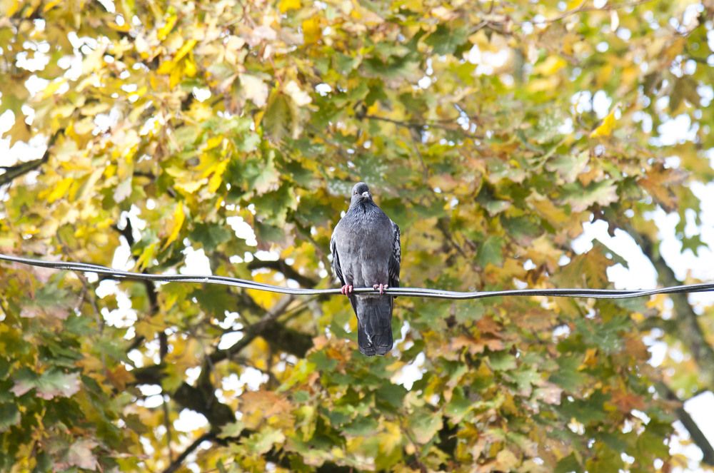 Photograph by Владимир