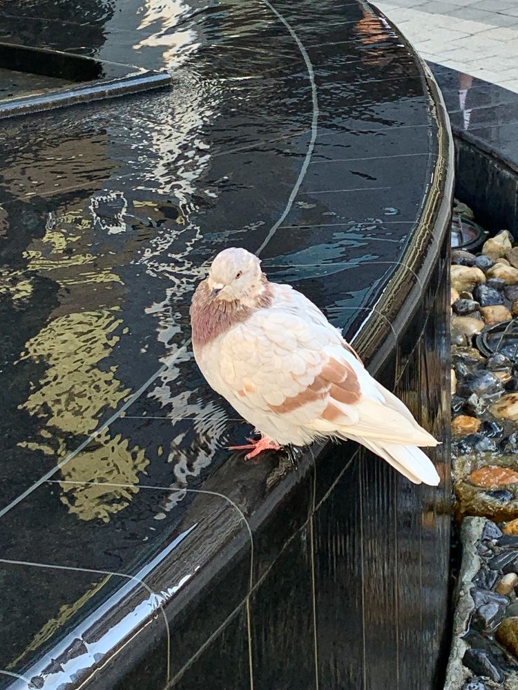 Photograph by Elena Makukha