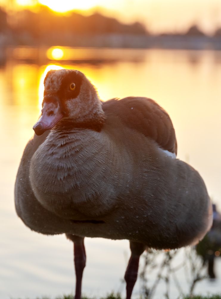 Photograph by Зоя Эль