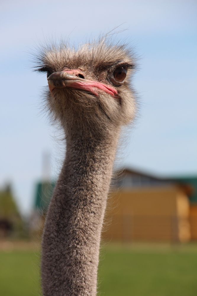 Photograph by Анастасия Бородина