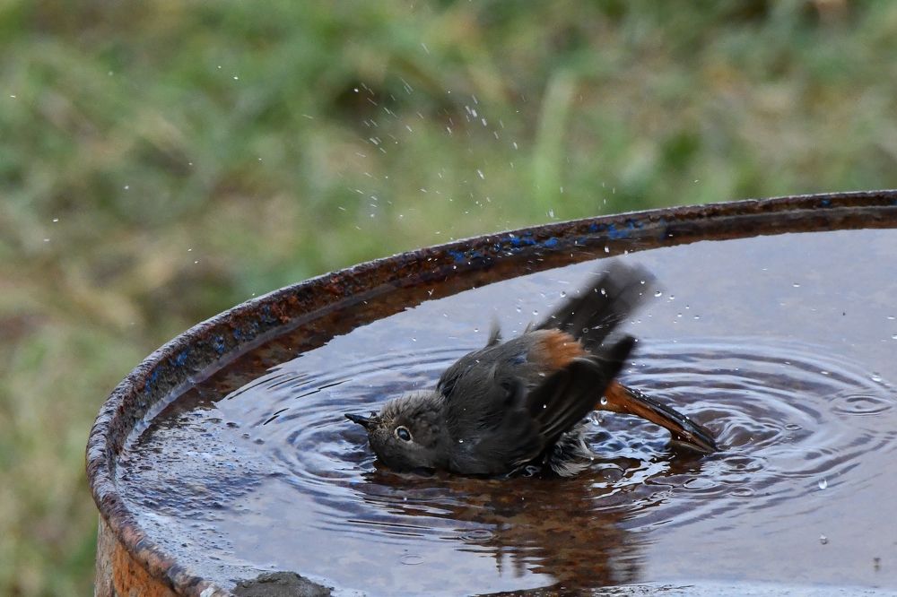 Photograph by Владимир Романов