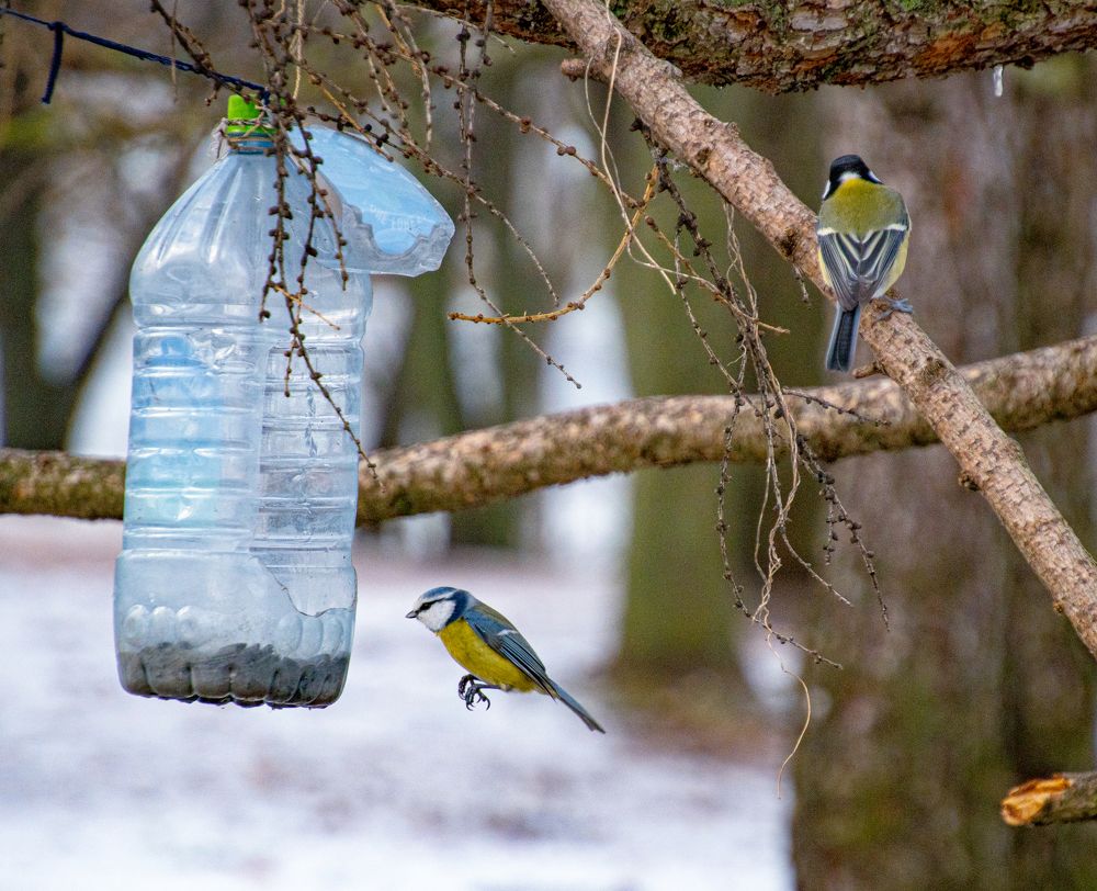 Photograph by Anna Prohorova