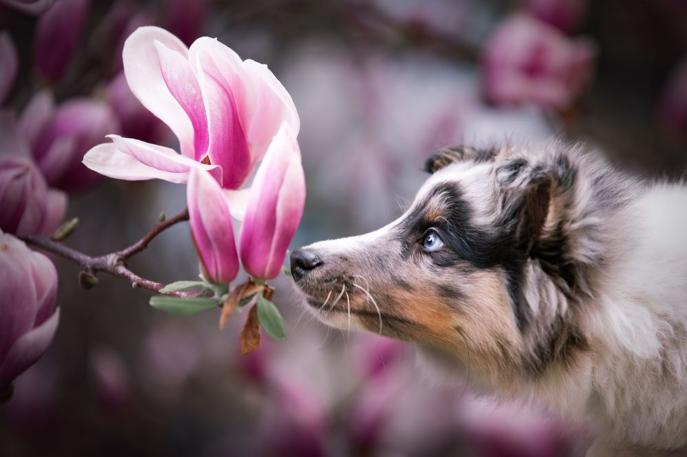 Photograph by Kelemen Tímea