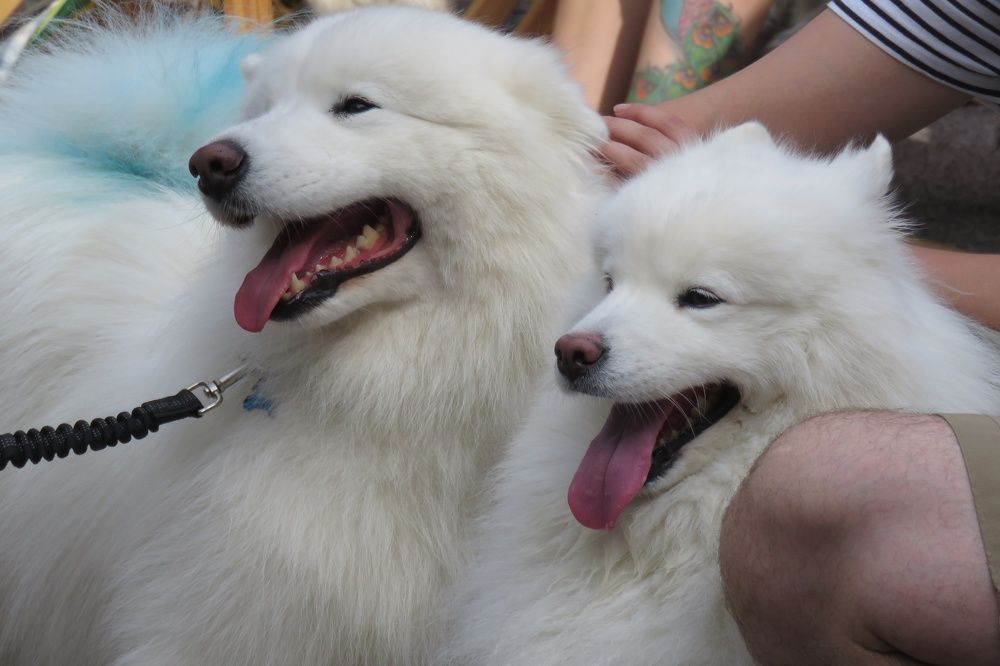 Photograph by Валерия Яскович