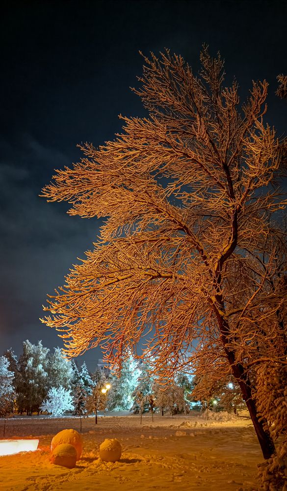 Photograph by Наташа Шибаева