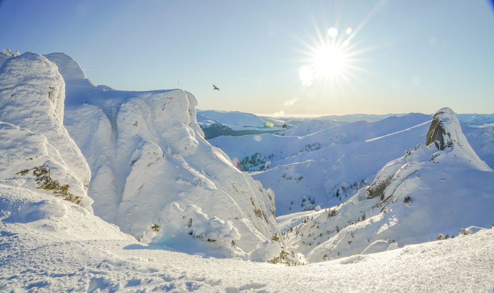 Photograph by George Catalin Serbu