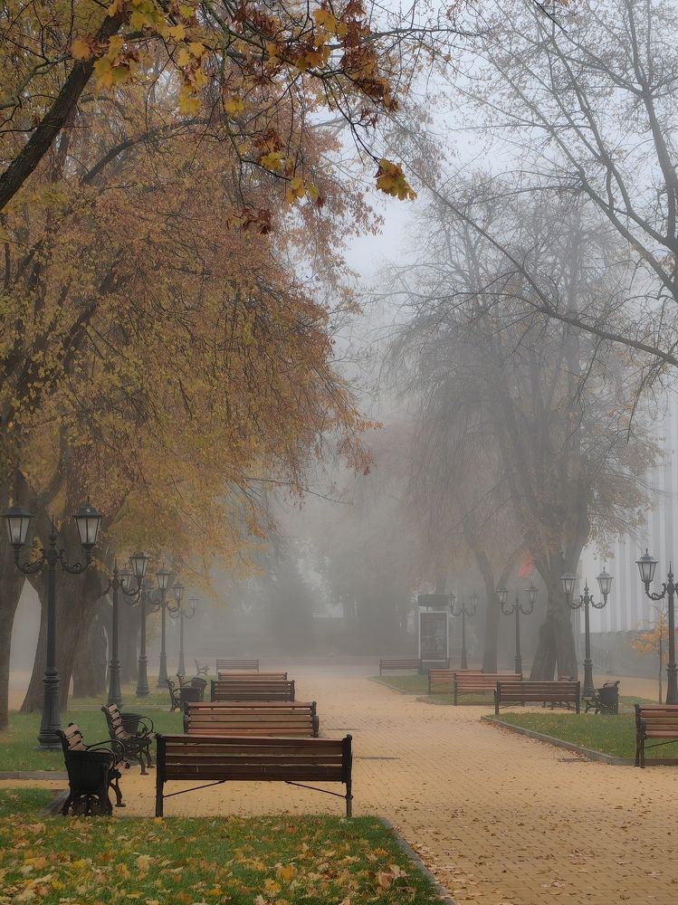Фотография автора Ольга Панасюк